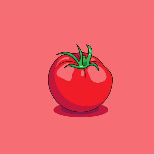 Kırmızı domatesin vektör çizimi