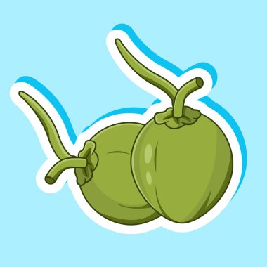 Yeşil Hindistancevizi Vektör Çizgi Filmi Tasarımı Etiketi