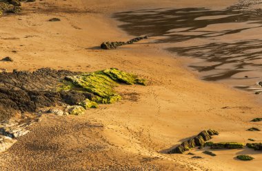 Suances, Santander, İspanya 'daki Playa de los Locos' un büyüleyici cazibesini bu çarpıcı plaj fotoğrafıyla yakalayın. Bu resim, resimli bir günbatımının sıcak tonlarını sergiliyor. Titreşim tarafından tamamlanmış kumlu kıyılara yansıtıyor.