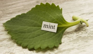 Naneli. Nane şekeri. Nane aromalı. Beyaz arkaplanda imzalı yeşil izole nane yaprağı