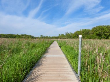 Kuzey Illinois 'deki Volo Bataklığı' ndan geçen Boardwalk Köprüsü Yolu