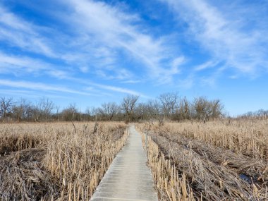 Kuzey Illinois 'deki Volo Bataklığı' ndan geçen Boardwalk Köprüsü Yolu