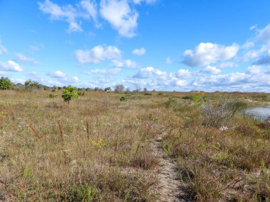 Mavi Gökyüzü Arkaplanlı Doğa Yolu 