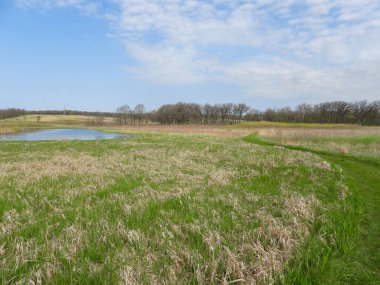 Mavi Gökyüzü Arkaplanlı Doğa Yolu 