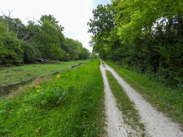 Nature Trail Path with a Blue Sky Background