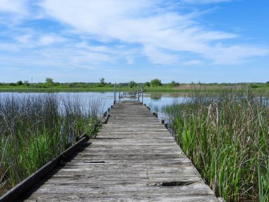 Mavi Gökyüzü Arkaplanlı Su Üzerindeki Köprü