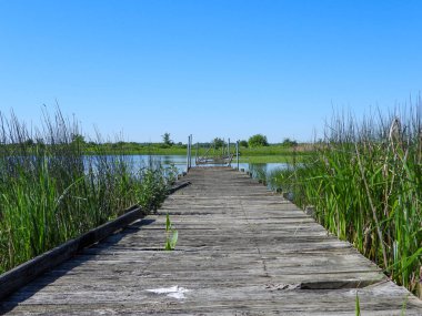 Mavi Gökyüzü Arkaplanlı Su Üzerindeki Köprü