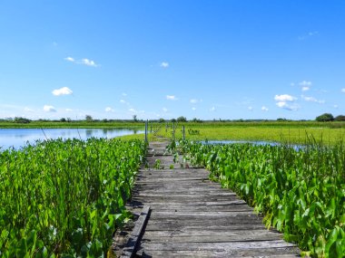 Mavi Gökyüzü Arkaplanlı Su Üzerindeki Köprü