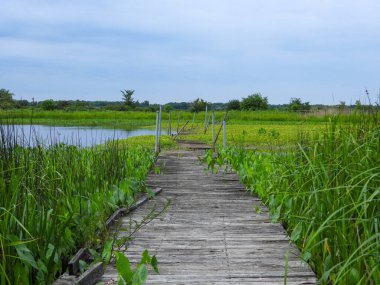 Mavi Gökyüzü Arkaplanlı Su Üzerindeki Köprü