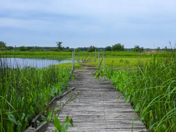 Mavi Gökyüzü Arkaplanlı Su Üzerindeki Köprü