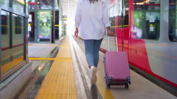Fotografía Cámara Lenta Una Mujer Viajera Con Bolsa Carro Caminando — Vídeo de stock