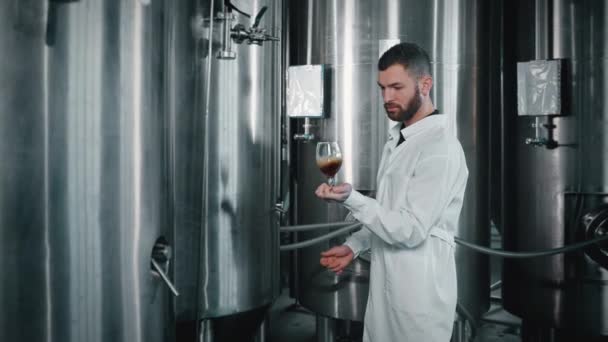 Cervecero Técnico Remolino Cerveza Vaso Una Porción Prueba Del Tanque — Vídeo de stock