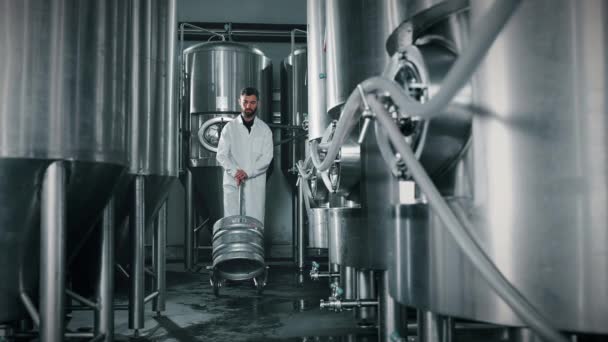 Bira Fabrikası Işçisi Büyük Paslanmaz Çelik Bira Işleme Tanklarının Arasında — Stok video