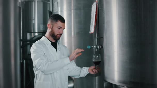 Мужской Технолог Наливает Темноту Емкости Пивоварней Проверяет Характеристики Контроль Качества — стоковое видео