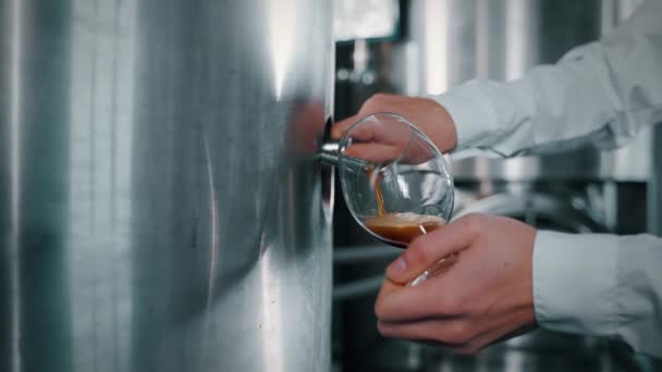 Дегустація Пива Заводі Виробництва Крафтового Пива Темного Пива Або Елю — стокове відео