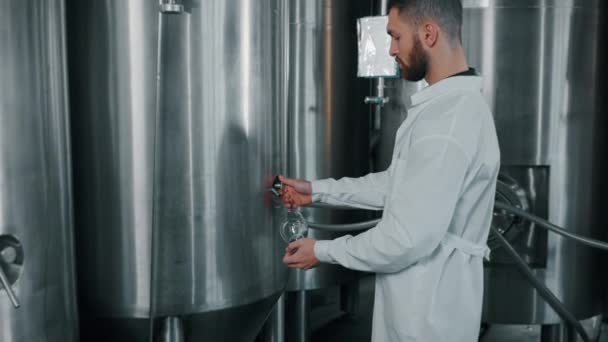 Technologue Professionnel Prélève Des Échantillons Bière Réservoir Fermentation Cylindrique Conique — Video