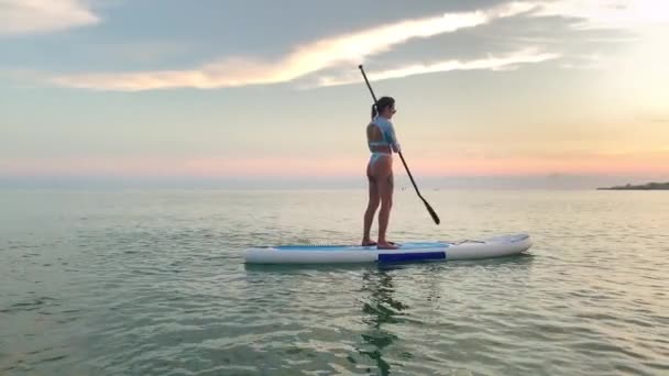 スポーツ女性は Supボードで海に浮かんでいます 日没や日の出で波をサーフィン 海岸のウォータースポーツ リアビュー 夕方や朝の海で瞑想的なリラックス時間 スポーツ趣味とレクリエーション — ストック動画