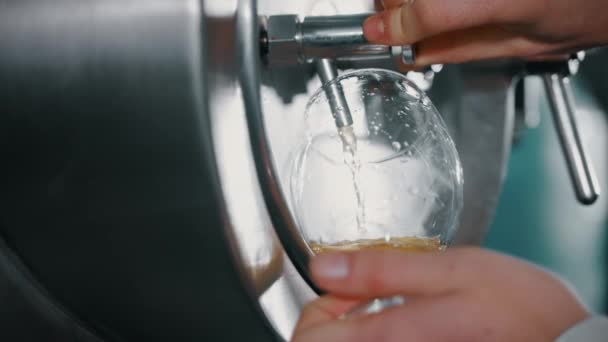 Wycieczka Degustacja Współczesnym Browarze Nalewanie Lekkiego Piwa Szklance Zbiornika Widok — Wideo stockowe