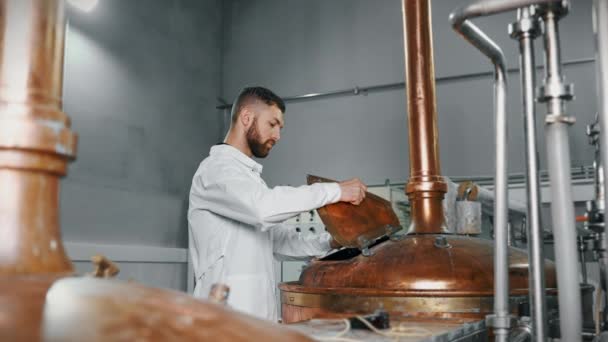 Équipement Traditionnel Dans Brasserie Moderne Technologue Contrôle Processus Brassage Atelier — Video