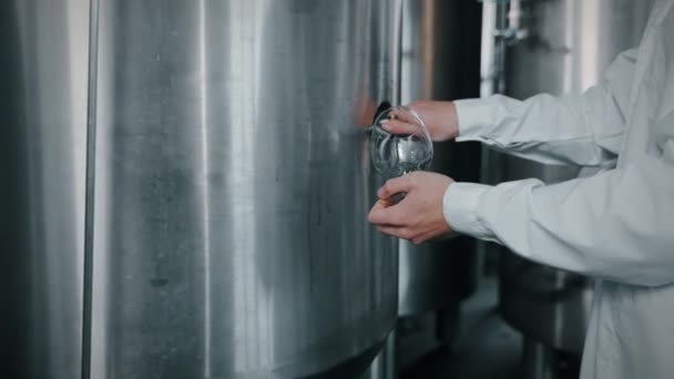 Gıda Teknisyeni Bira Fabrikasındaki Paslanmaz Çelik Tanktan Bardağa Siyah Bira — Stok video