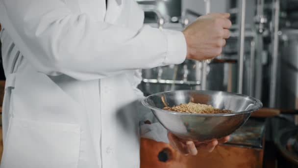 Élelmiszer Technológus Malátás Árpát Tölt Kézbe Tartálynál Mielőtt Söritalt Dolgozna — Stock videók