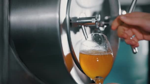 技术酿造者在玻璃杯中旋转啤酒的慢动作镜头 以控制从加工不锈钢罐中提取的饮料的质量 酿酒厂的饮料生产 — 图库视频影像
