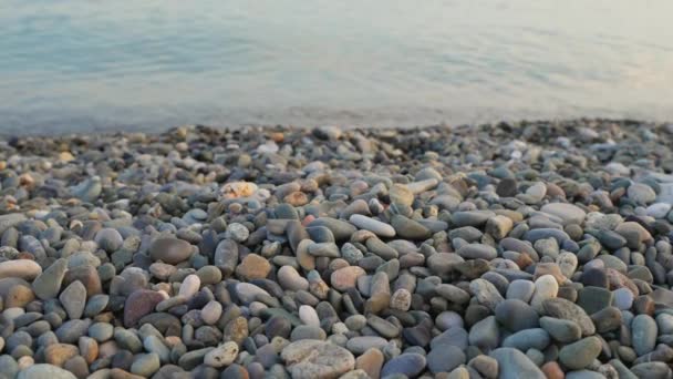 Pietrele Pietricele Gri Netede Coastă Calmează Apa Limpede Mare Fundal — Videoclip de stoc