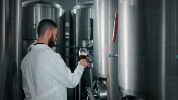 Atelier Van Hedendaagse Ambachtelijke Brouwerij Mens Bekijkt Donker Bier Glas — Stockvideo