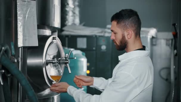 专业酿酒师正在酿酒厂从发酵罐中倒入淡啤酒 技师正在检查啤酒或啤酒的质量 查看玻璃杯中饮料的颜色和浓度 — 图库视频影像