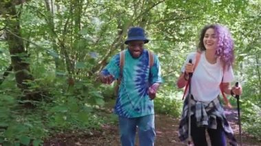 Yazın ormanda yürüyen neşeli genç insanlar, siyah adam ve melez kadın güzel güneşli havanın ve yaz tatilinin tadını çıkarıyorlar, bastonları yürümek için kullanıyorlar.
