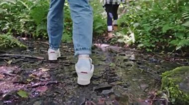 Yaz aylarında ormanda yürüyüş yapan insanlar, yere yakın bacaklar, küçük bir derenin üzerinden geçmek, arka planda kalan erkek ve kadın spor ayakkabıları ve doğada boş zaman geçirmek için rahat spor ayakkabılar.