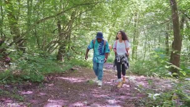 Zorgeloze Paar Vrienden Wandelend Natuur Afrikaanse Man Latijns Amerikaanse Vrouw — Stockvideo
