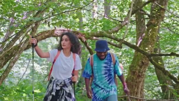 夏天的周末 黑发女人和非洲男人一起在森林里远足 快乐的朋友们背着背包旅行在自然的旅游胜地 积极的娱乐活动和运动生活方式 — 图库视频影像