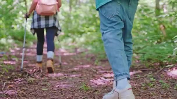 Yürüyüş Ayakkabısı Giymiş Çiftlerin Bacakları Dağ Yolunda Yürüyüş Yapar Sopalarla — Stok video