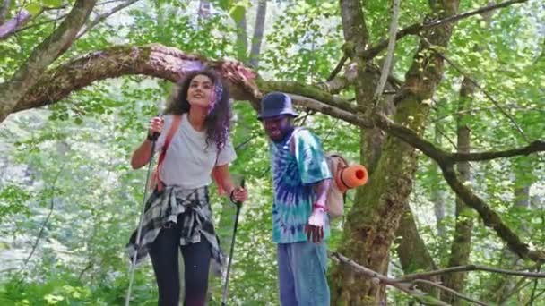 Vandrare Par Mångfald Afroamerikan Man Kvinna Skogen Träd Grenar Öva — Stockvideo