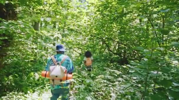 在森林里徒步旅行 一群人在阳光明媚的夏日漫步于树林之间 回顾风景 周末积极地消遣 在大自然中背包旅行 探索未知的地方 — 图库视频影像