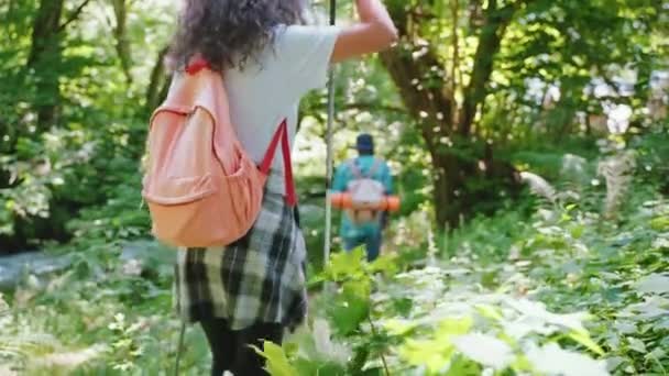 Couple Man Woman Hiking Wild Forest Sticks Pathway Back View — Videoclip de stoc