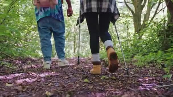 Legs Couple Hikers Backpackers Trekking Shoes Hiking Mountain Trail Sticks — Stock videók