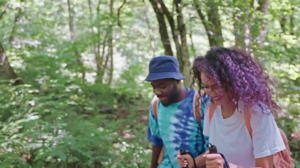 Portrait Young Happy Smiling Afroamerican Man Woman Hiking Trekking Forest — Stock video