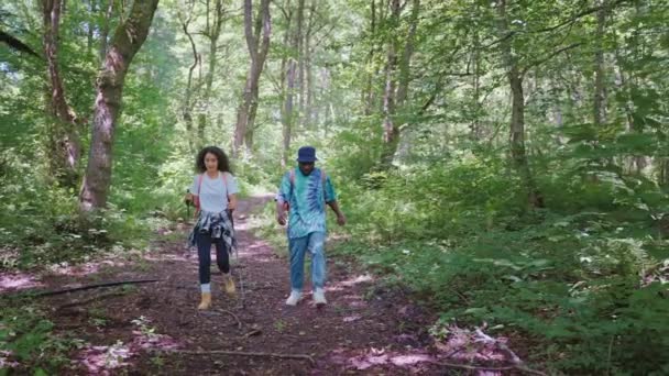 Couple African American Man Woman Sticks Trekking Hiking Forest Trail — Video