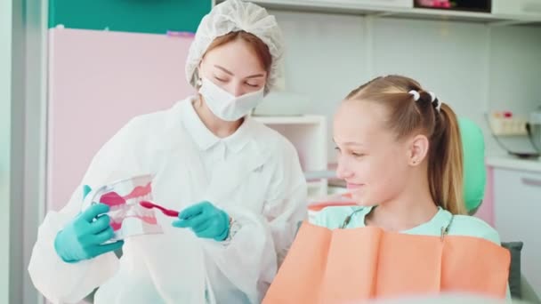 歯科医の歯磨き歯科医は 歯科診療所で顎モデルを正しく使用しています 歯科医の小児科医は10代の少女に歯ブラシをきれいにする方法を教え 歯科の顎モデルを示しています 10代のコンセプトと連携する — ストック動画