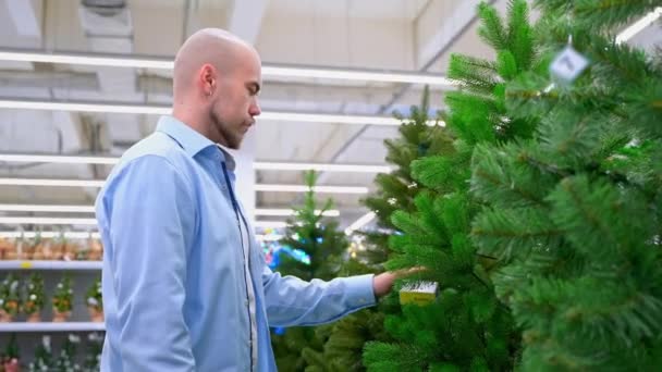 Kaufen Künstlicher Weihnachtsbaum Geschäft Erwachsener Mann Wählt Dekorative Fichte Für lizenzfreies Stockvideo