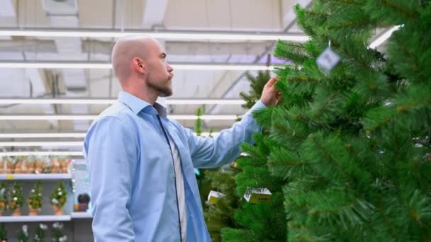 Homem Escolhendo Grande Árvore Natal Supermercado Tipo Tocar Agulhas Árvores Videoclipe