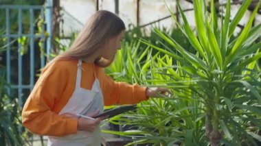 Serada tableti olan botanikçi genç bir kadın bitkilerin büyümesini kontrol ediyor ve veri topluyor. Bilimadamı bitki yetiştirme üzerine araştırma yapıyor. Serada gülümseyen beyaz kadın portresi.