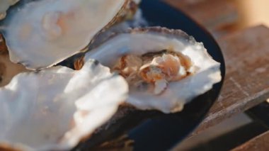 Restorandaki istiridyeler, yakın çekim manzarası, şarküteri ve lezzetli yemekler, gastronomi gezisi ve deniz kıyısında seyahat.