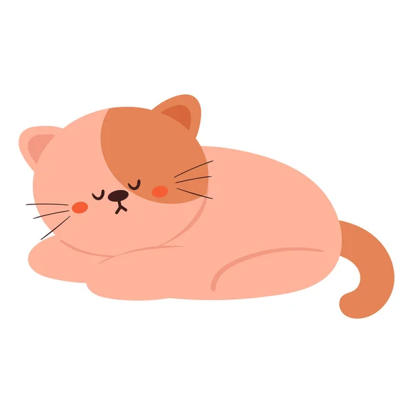 手绘可爱的卡通猫睡觉 — 图库矢量图片