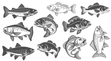 Balık Vektörü sanat ve illüstrasyon, Balık ikonu ve Balık Tasarımı