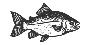 Balık vektörü Sanat İllüstrasyonu, Balık Simgesi Tasarımı