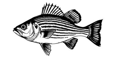 Balık Vektörü Sanatı & İllüstrasyonu