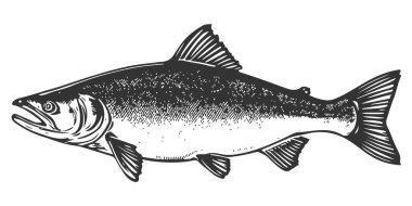 Balık Vektörü Sanatı & İllüstrasyonu